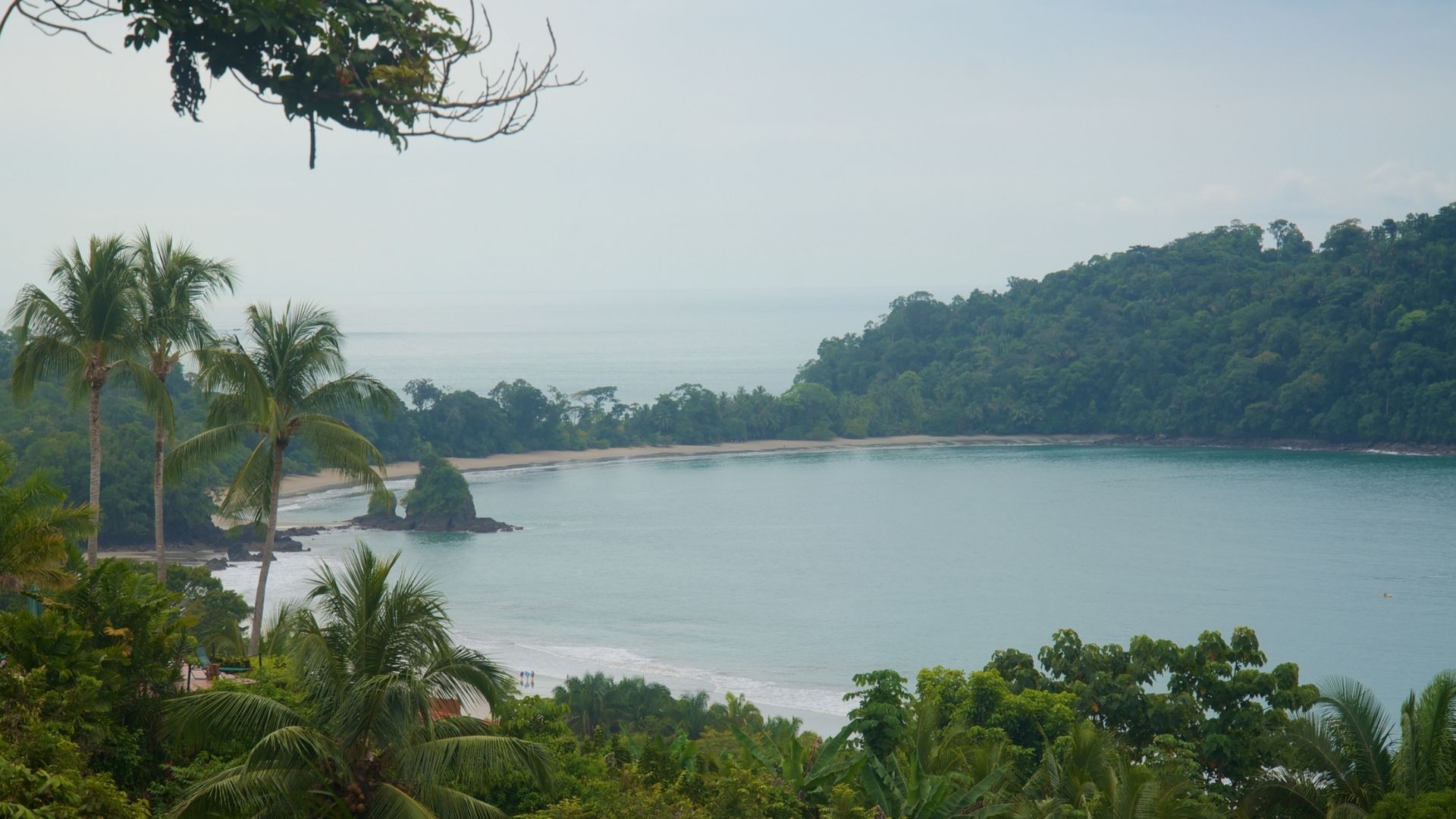 Manuel Antonio